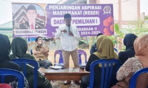 mansur