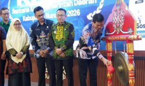 resmi